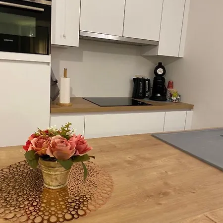 Modern Centrum Apartment
