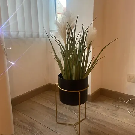 Modern Centrum Apartment