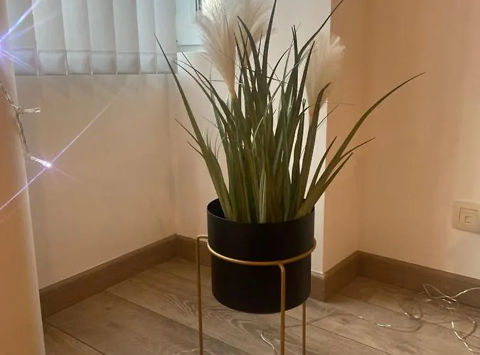 Modern Centrum Appartement